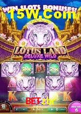 Casino Ao Vivo Betzbr